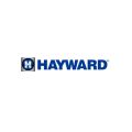 heyward